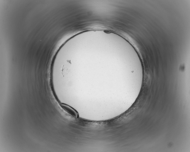 X0000090701195200708101435