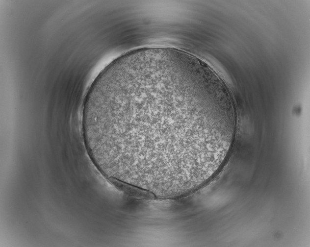 X0000090701196200708101435