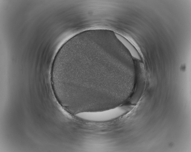 X0000090701197200708101435
