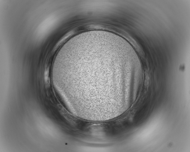 X0000090701198200708101435