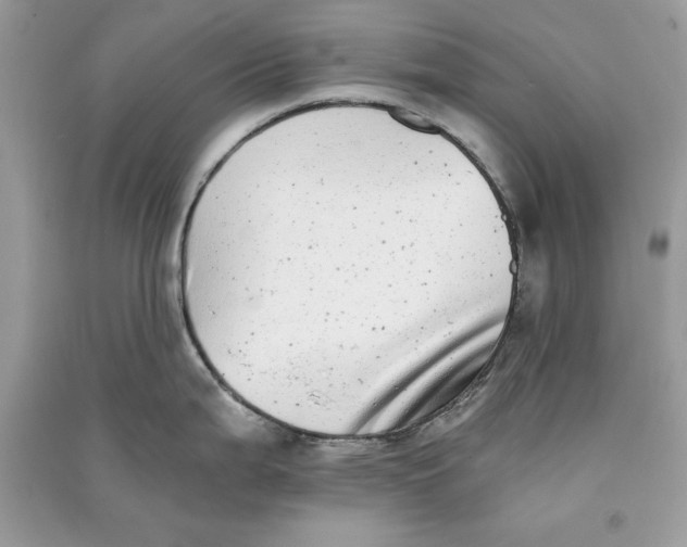 X0000090701199200708101435