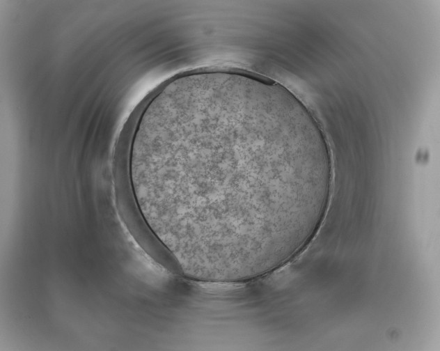 X0000090701200200708101435
