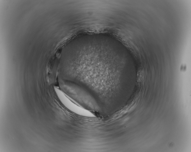 X0000090701202200708101434