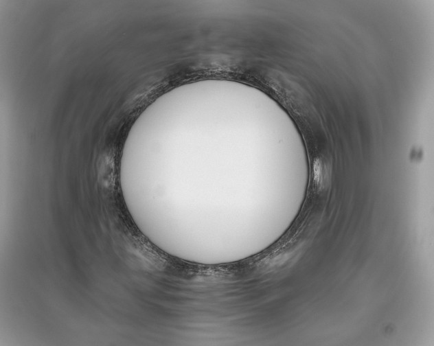 X0000090701203200708101434