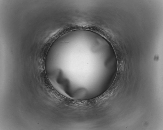 X0000090701205200708101434