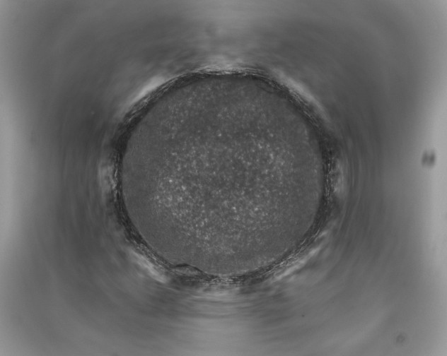 X0000090701206200708101434