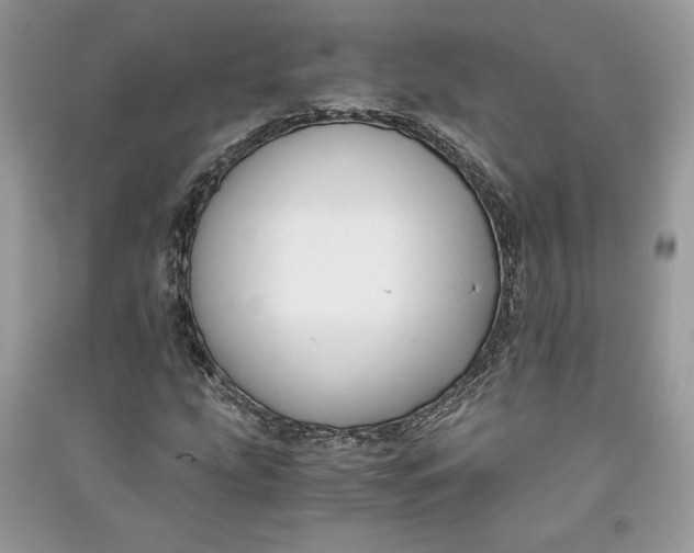 X0000090701207200708101434