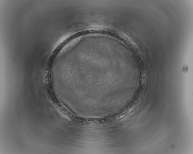 X0000090701208200708101434