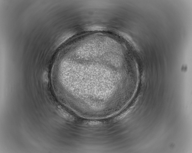 X0000090701209200708101434