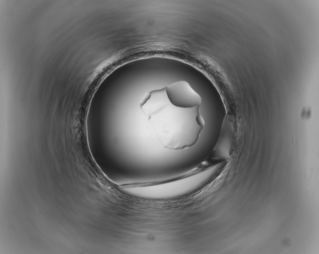X0000090701210200708101434