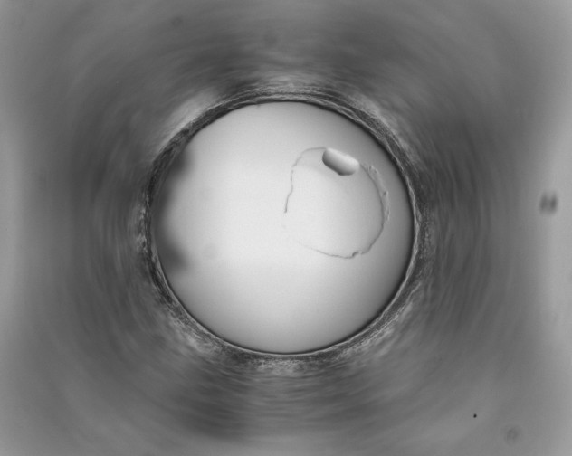 X0000090701211200708101434