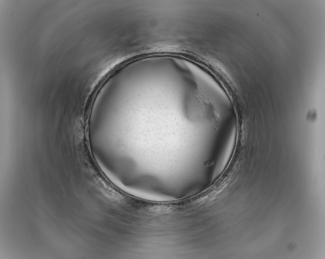 X0000090701212200708101434
