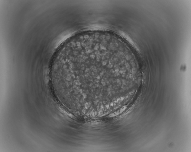 X0000090701213200708101434