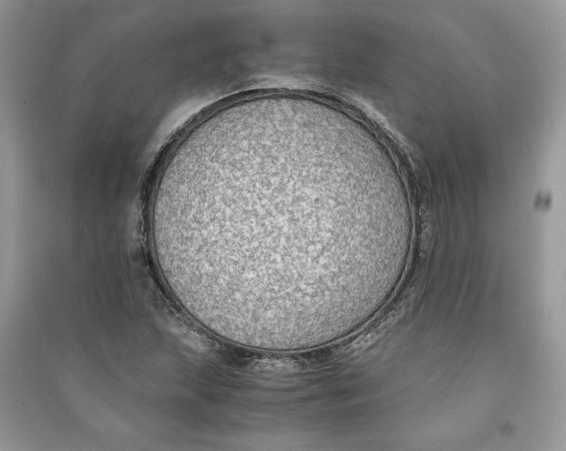 X0000090701215200708101434