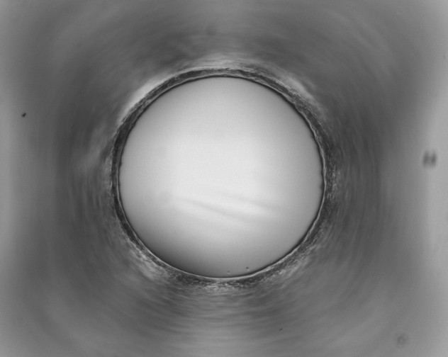 X0000090701216200708101434