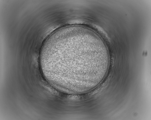X0000090701217200708101434