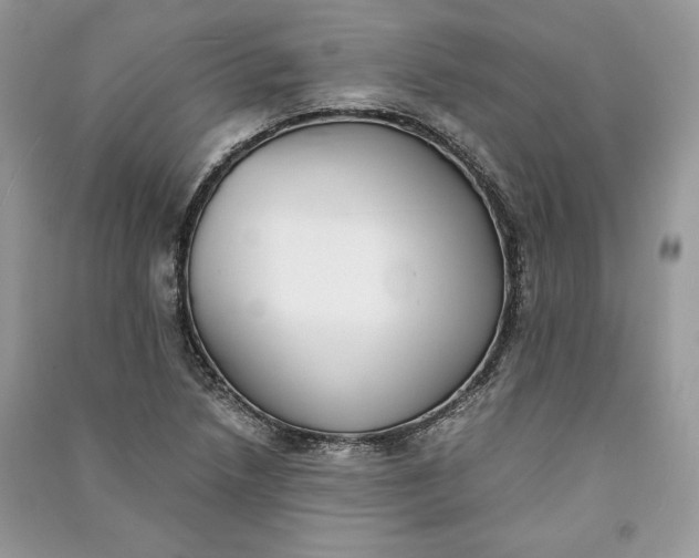 X0000090701218200708101434