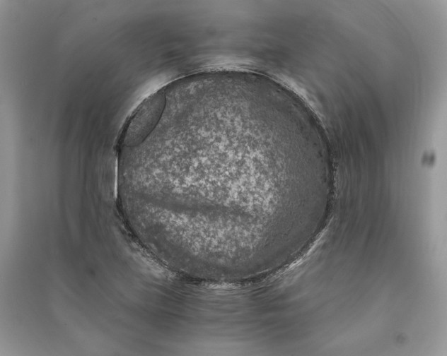 X0000090701219200708101434