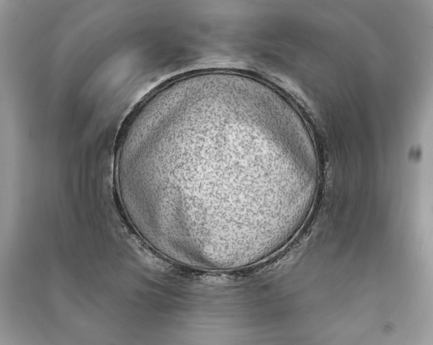 X0000090701220200708101434