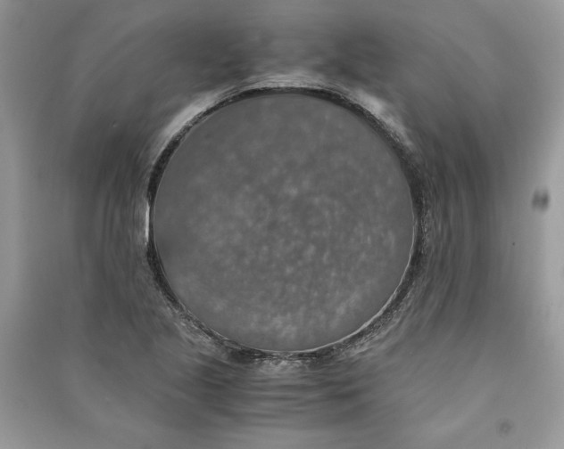 X0000090701221200708101434