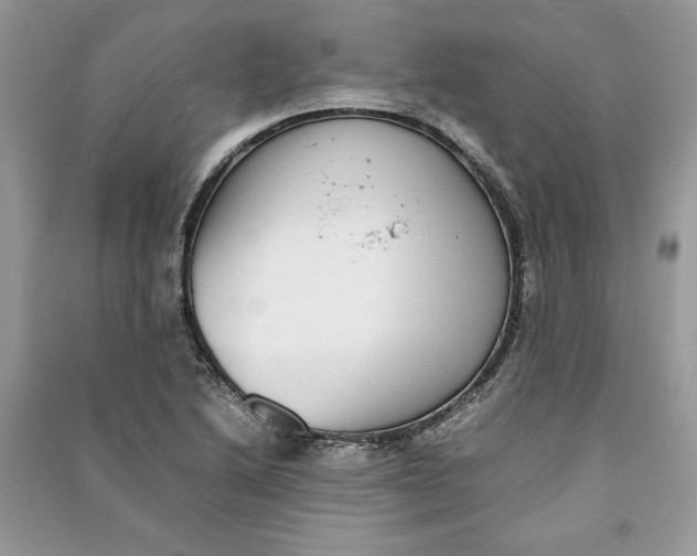X0000090701222200708101434