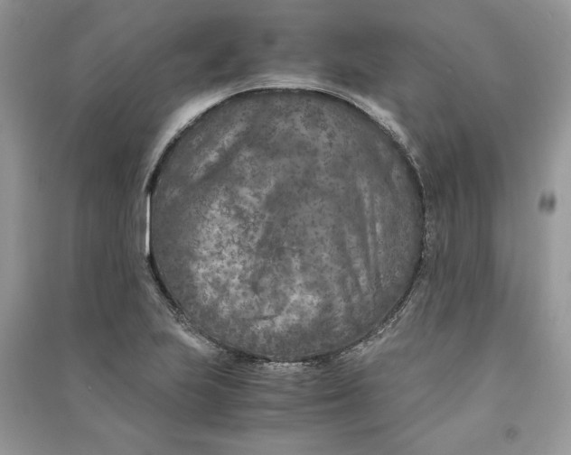 X0000090701223200708101434