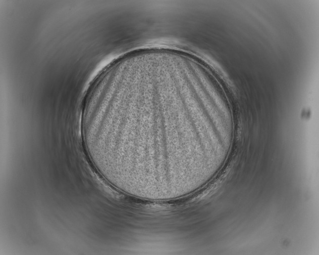 X0000090701224200708101434