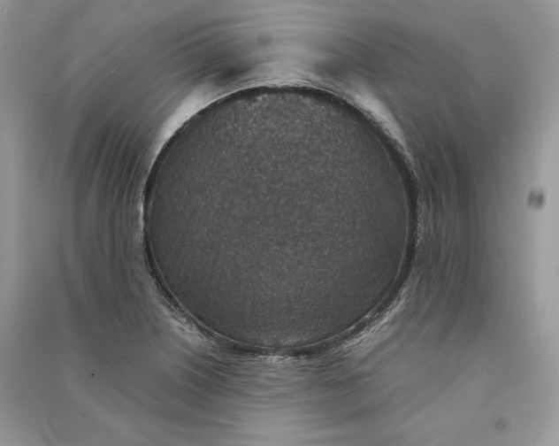 X0000090701226200708101434