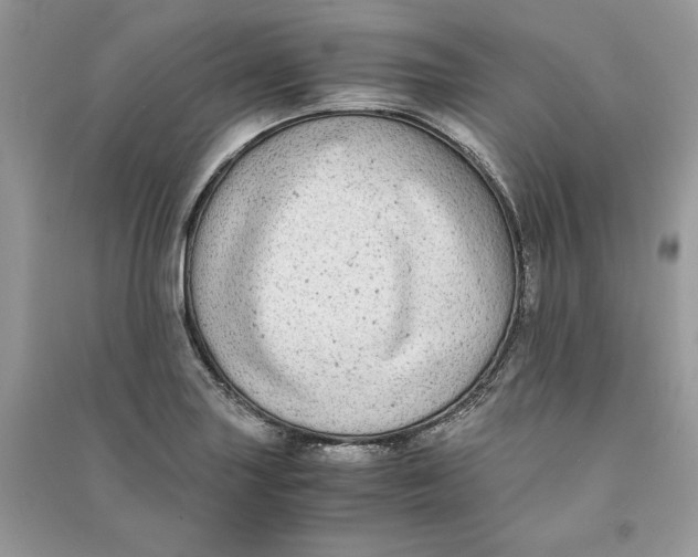X0000090701227200708101434