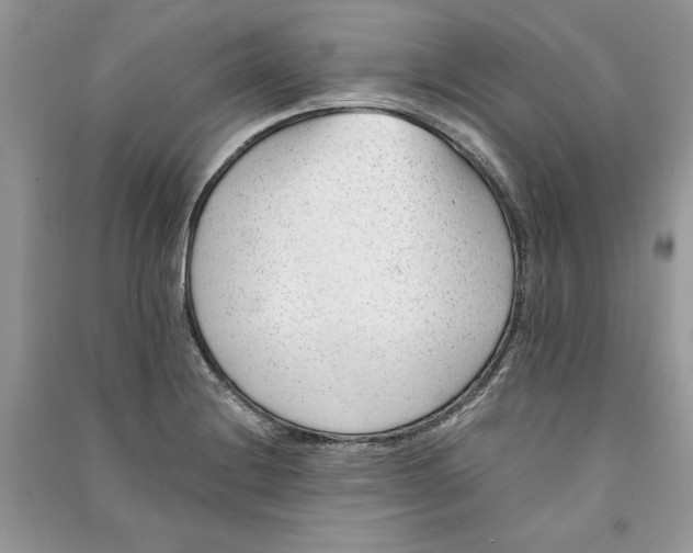 X0000090701228200708101434