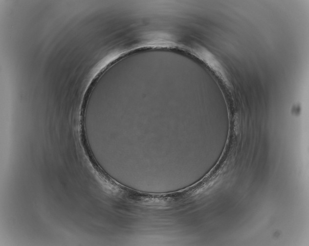 X0000090701229200708101434