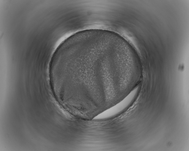 X0000090701230200708101434