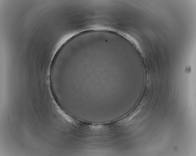 X0000090701231200708101434