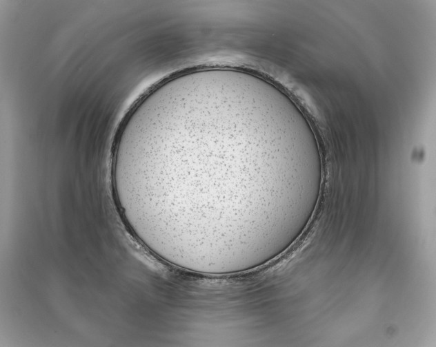 X0000090701232200708101434