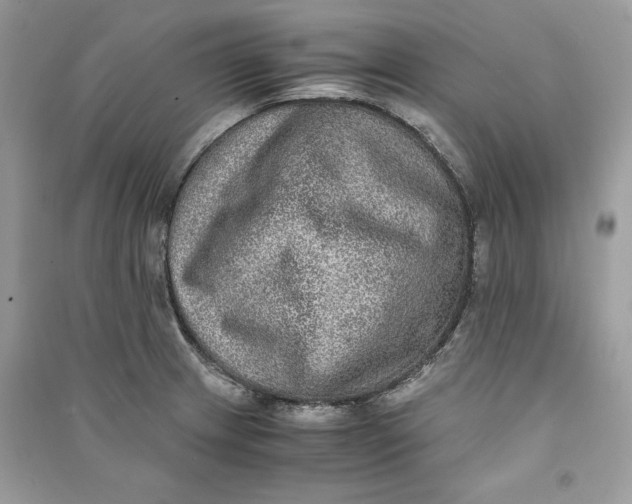 X0000090701233200708101434