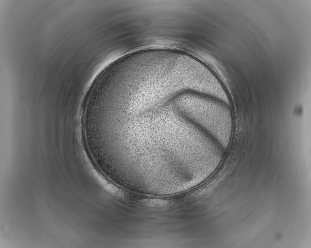 X0000090701235200708101434