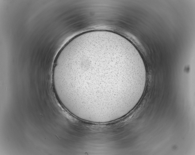 X0000090701236200708101435