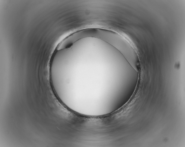 X0000090701238200708101435