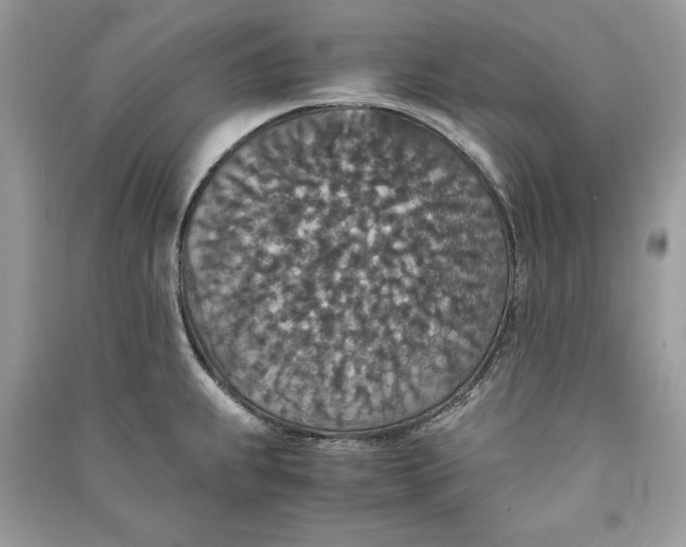 X0000090701239200708101435