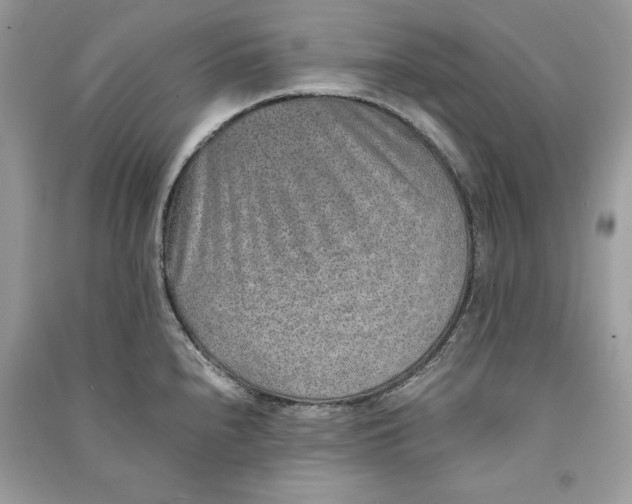 X0000090701240200708101435