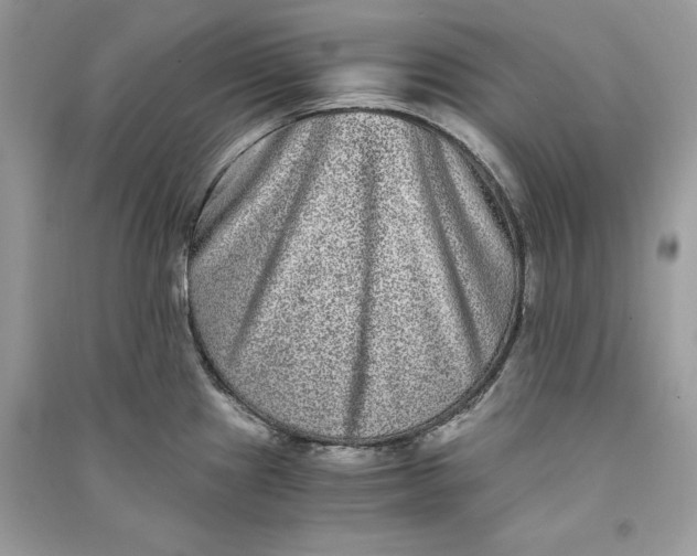 X0000090701241200708101435