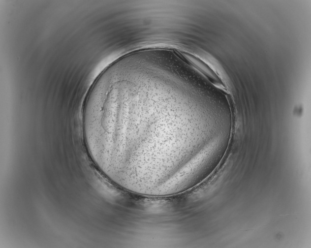 X0000090701242200708101435