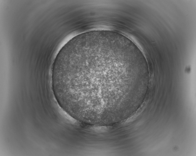 X0000090701243200708101435