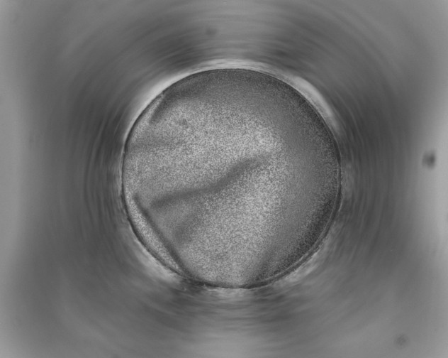 X0000090701244200708101435