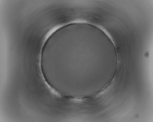 X0000090701245200708101435