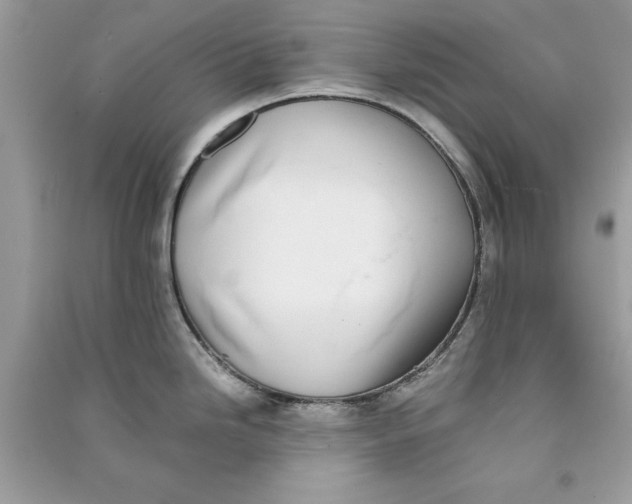 X0000090701246200708101435