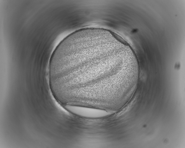 X0000090701247200708101435