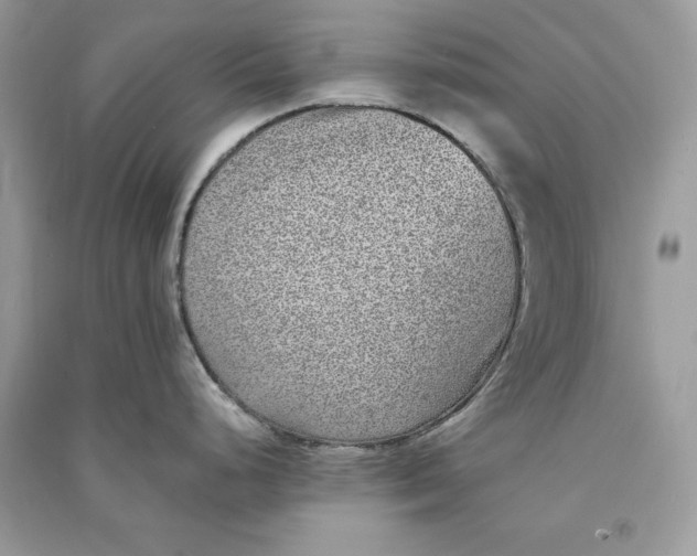 X0000090701248200708101435