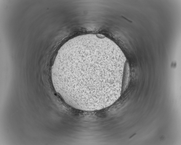 X0000090701249200708101434