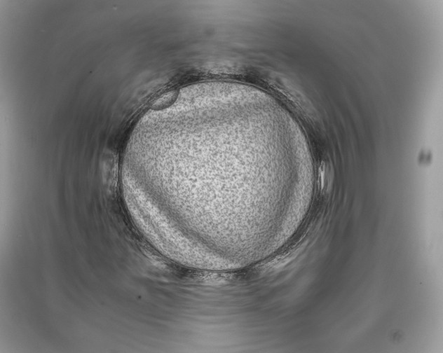 X0000090701251200708101434